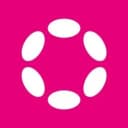 polkadot network