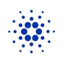 cardano foundation