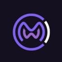 World Metaverse Council World Metaverse Council